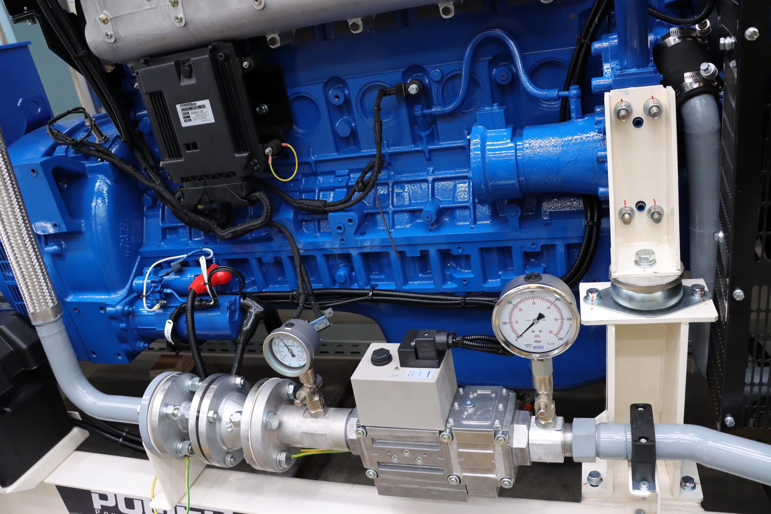 GXE100 BG Biogas Genset 18 scaled