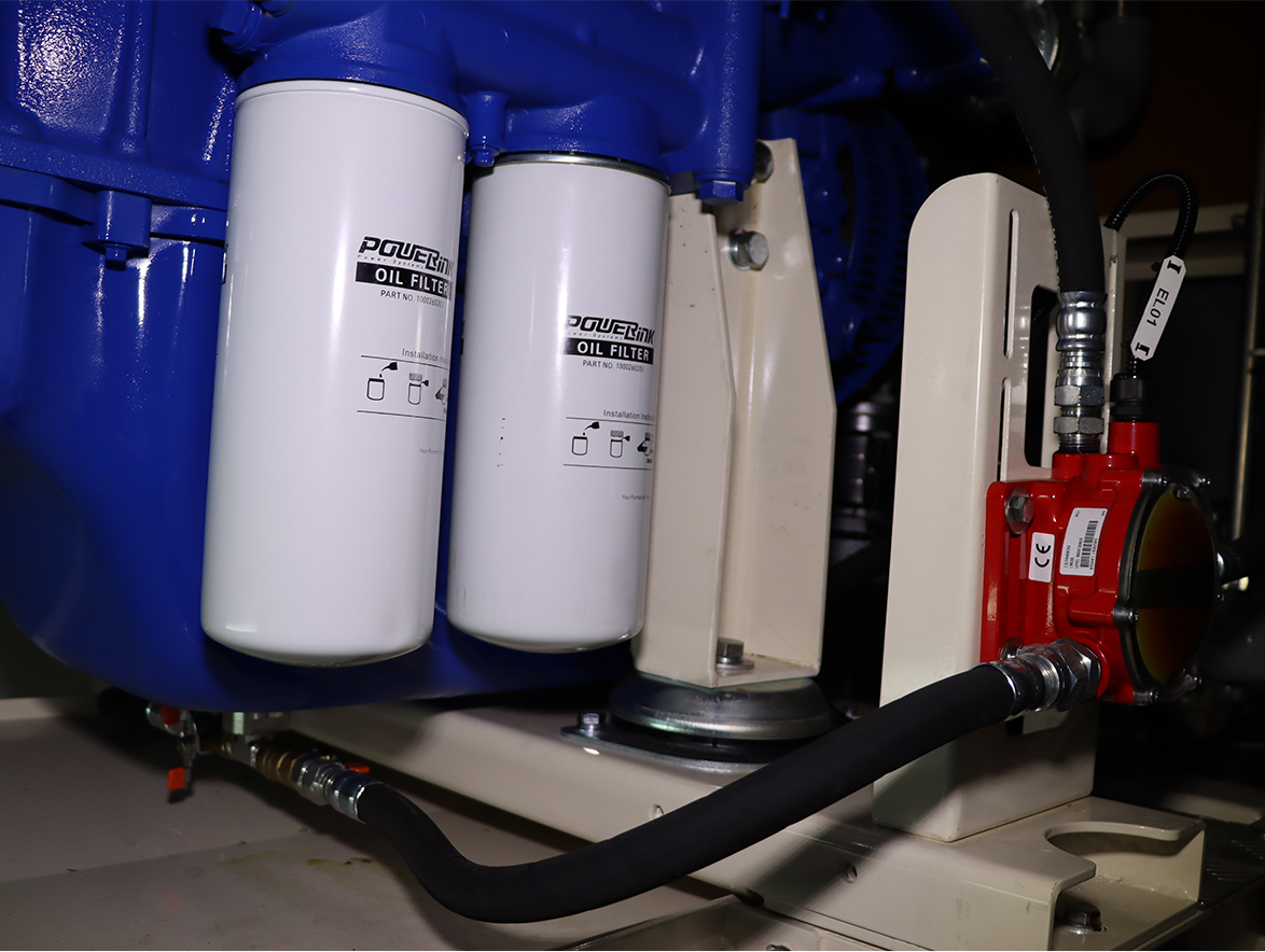 GXE250C NG Gas Genset Container 1