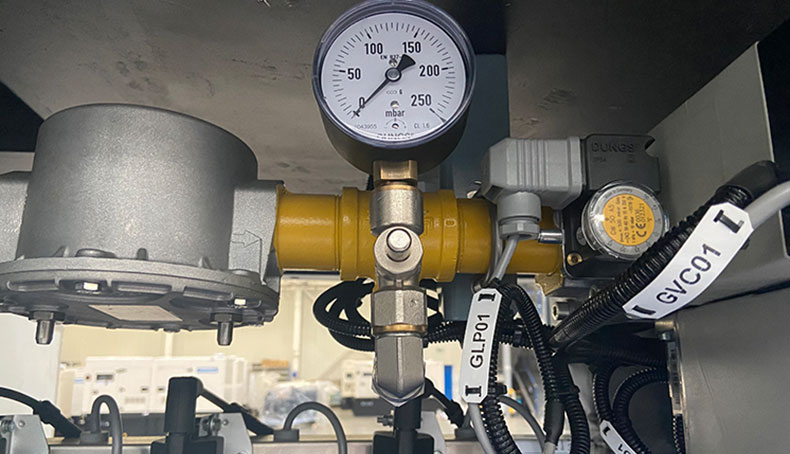 GXE250S NG Gas generator 10