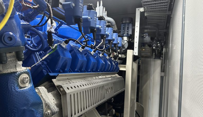 North type Container Natural Gas Cogeneration Unit-CG520C-NG (7)