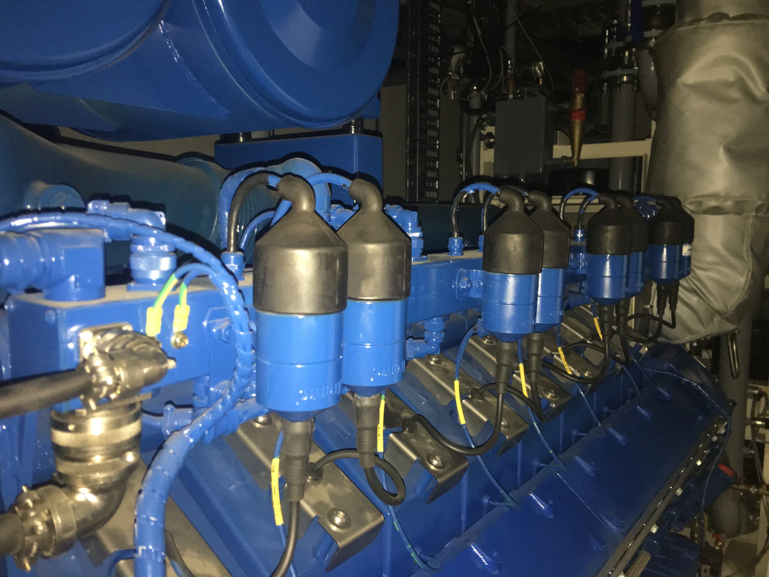 TCG800 BG20191104 13 scaled